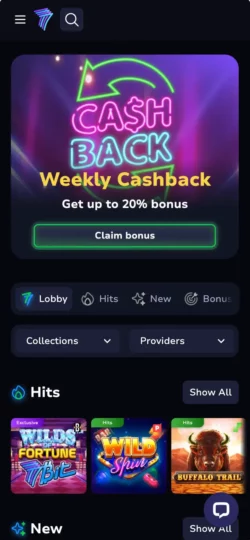 7BitCasino Mobile Experience