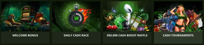 Wild Casino Promotions List 1