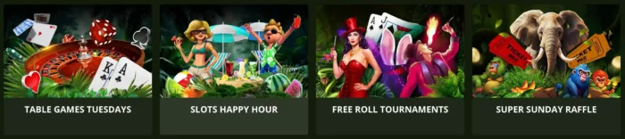 Wild Casino Promotions List 2