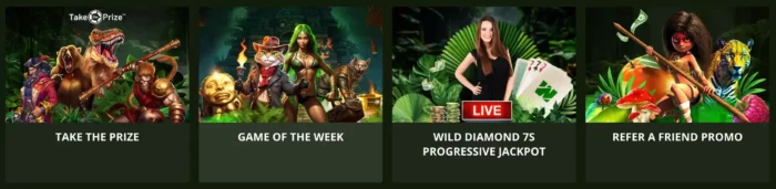 Wild Casino Promotions List 3