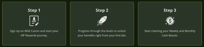 Wild Casino Vip Program Steps